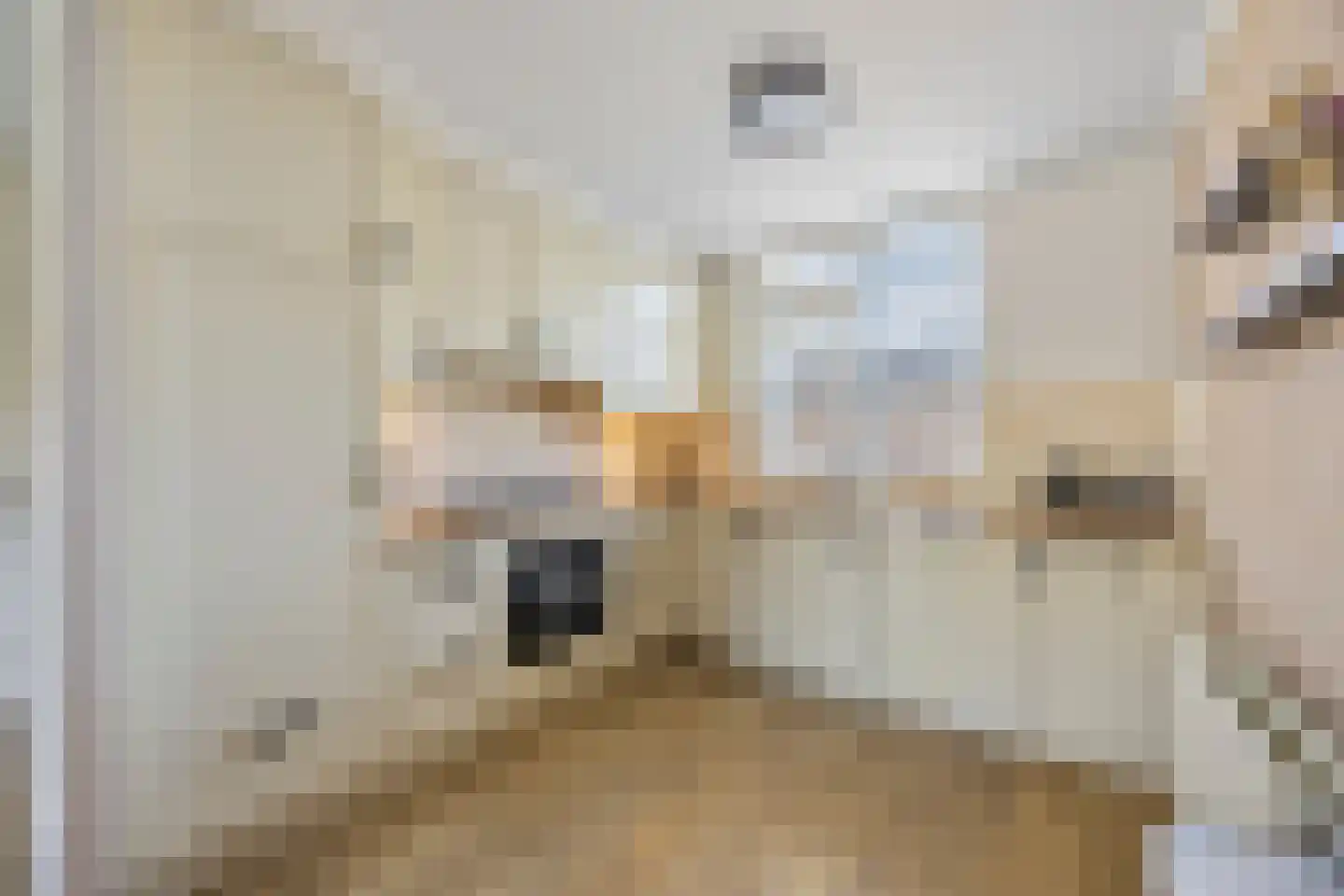 Plaggenmeierslaan 5 Voorthuizen thumbnail 13