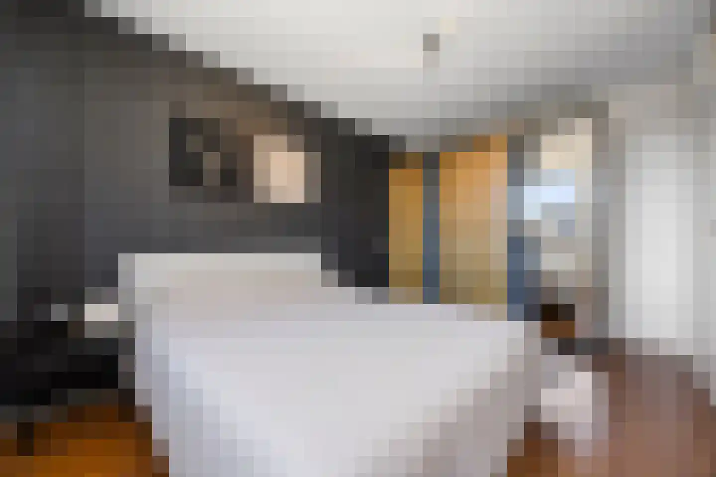 Plaggenmeierslaan 5 Voorthuizen thumbnail 18