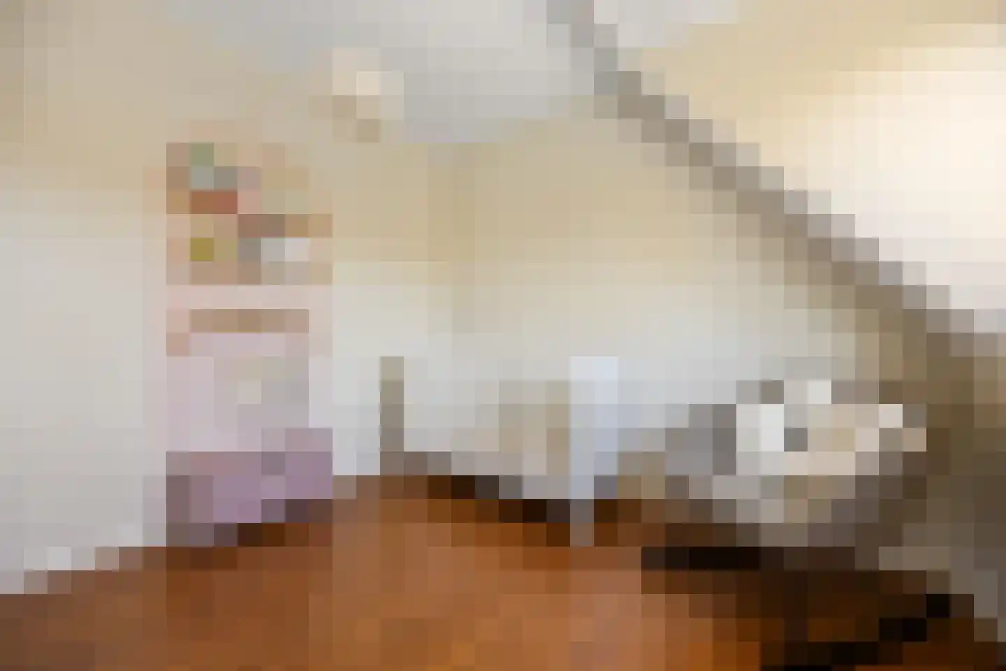 Plaggenmeierslaan 5 Voorthuizen thumbnail 21