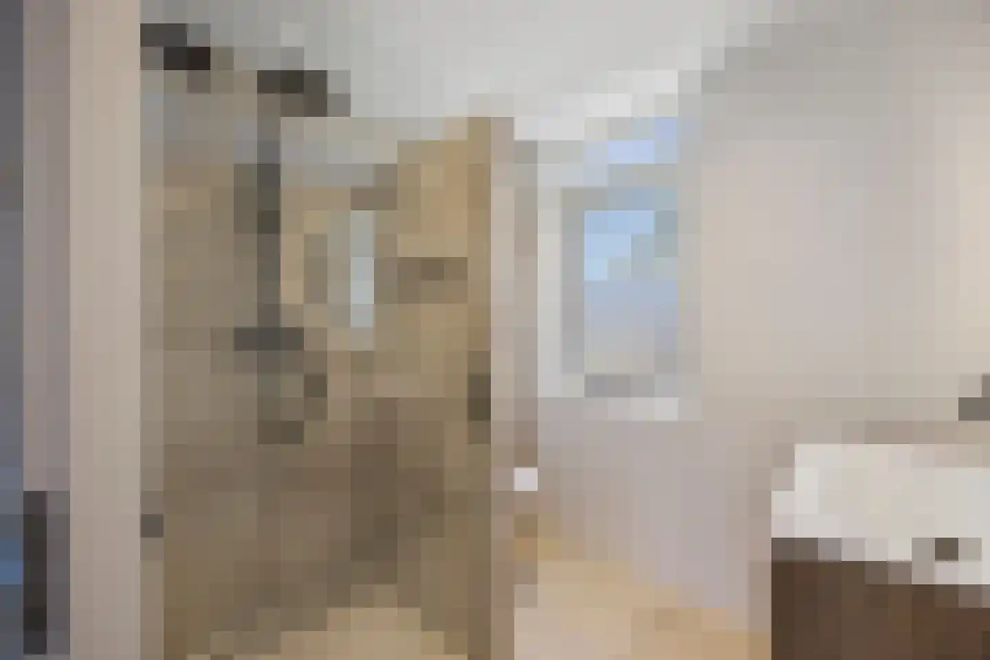 Plaggenmeierslaan 5 Voorthuizen thumbnail 24