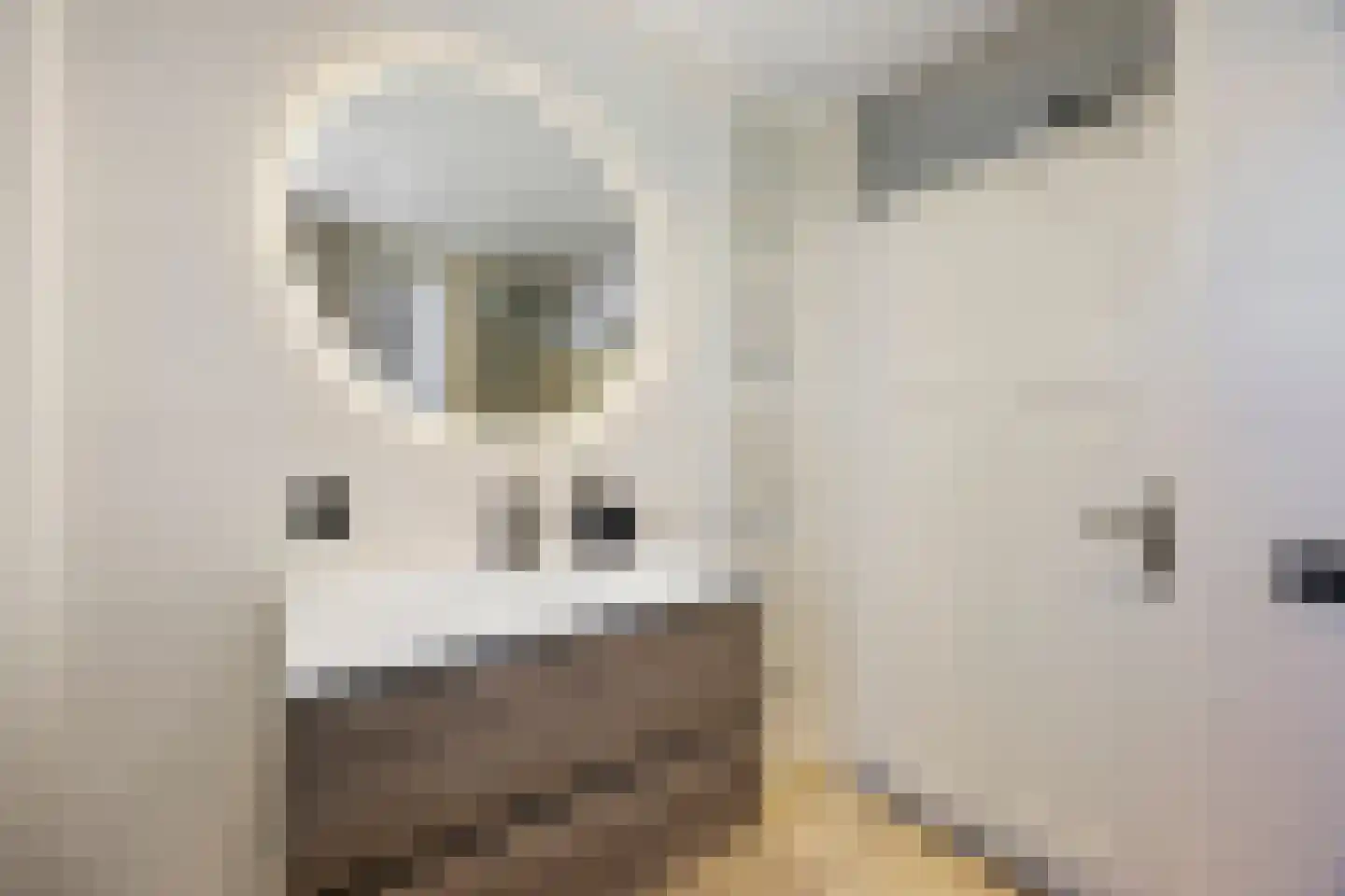 Plaggenmeierslaan 5 Voorthuizen thumbnail 25