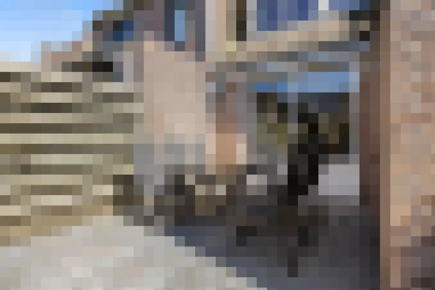 Plaggenmeierslaan 5 Voorthuizen thumbnail 31
