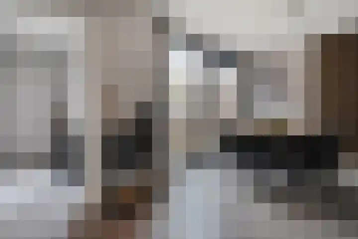 Plaggenslag 34 Nieuwleusen thumbnail 11
