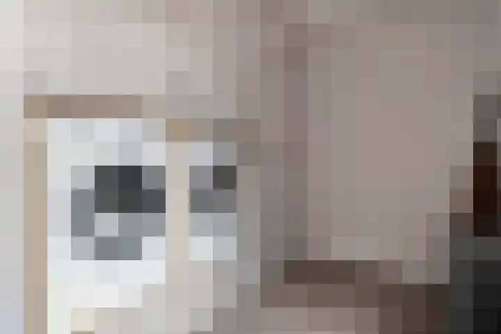 Plaggenslag 34 Nieuwleusen thumbnail 12