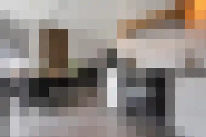 Plaggenslag 34 Nieuwleusen thumbnail 15