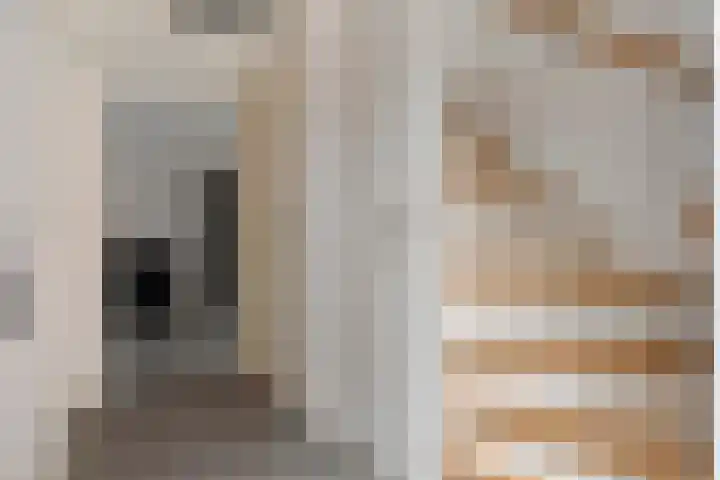 Plaggenslag 34 Nieuwleusen thumbnail 16