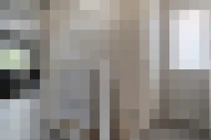 Plaggenslag 34 Nieuwleusen thumbnail 17