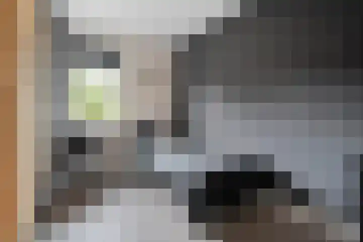 Plaggenslag 34 Nieuwleusen thumbnail 18