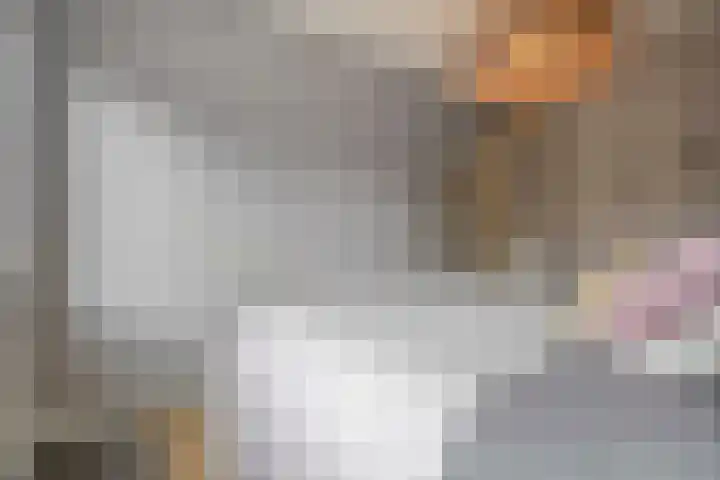 Plaggenslag 34 Nieuwleusen thumbnail 22