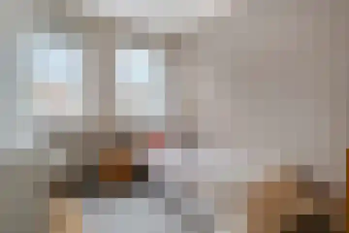 Plaggenslag 34 Nieuwleusen thumbnail 23