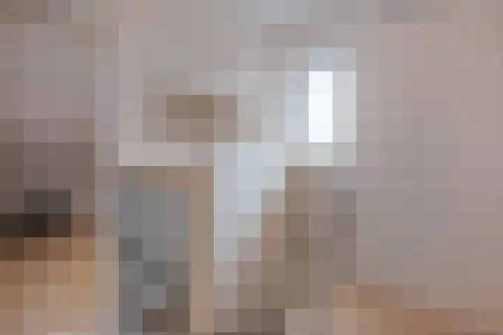 Plaggenslag 34 Nieuwleusen thumbnail 28