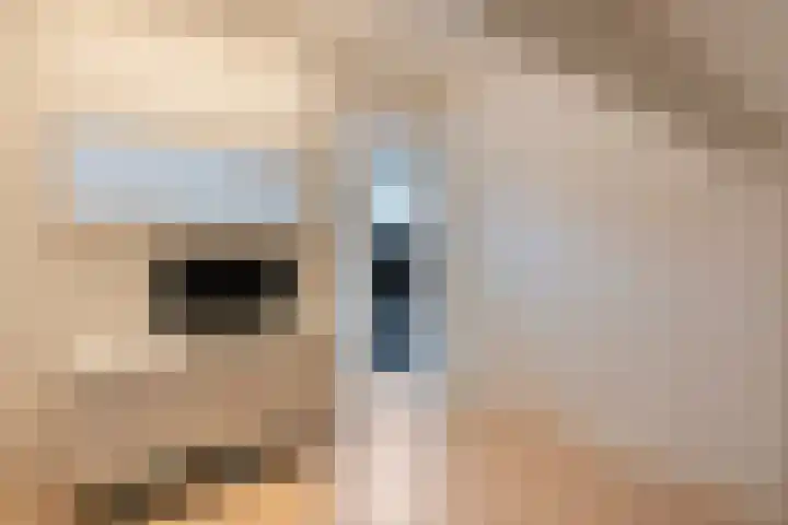 Plaggenslag 34 Nieuwleusen thumbnail 30