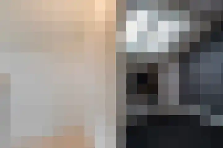 Plaggenslag 34 Nieuwleusen thumbnail 31