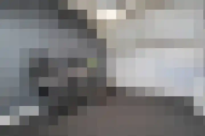 Plaggenslag 34 Nieuwleusen thumbnail 32