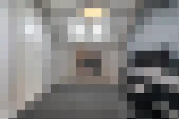Plaggenslag 34 Nieuwleusen thumbnail 33