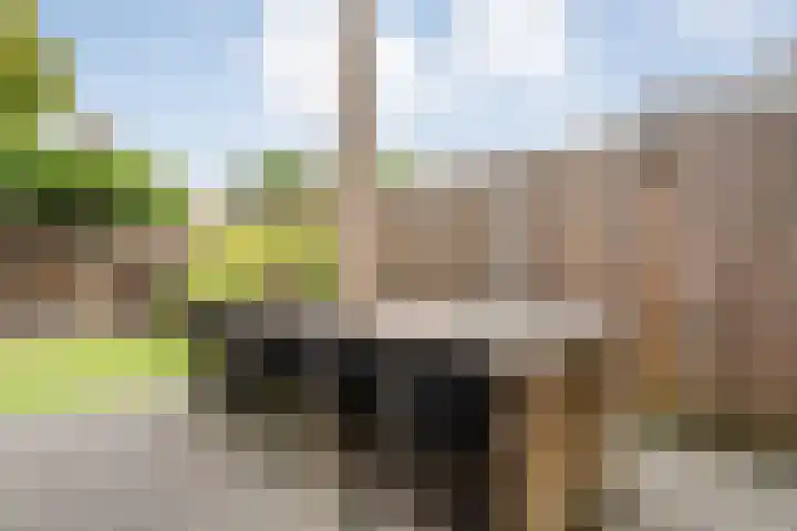 Plaggenslag 34 Nieuwleusen thumbnail 35