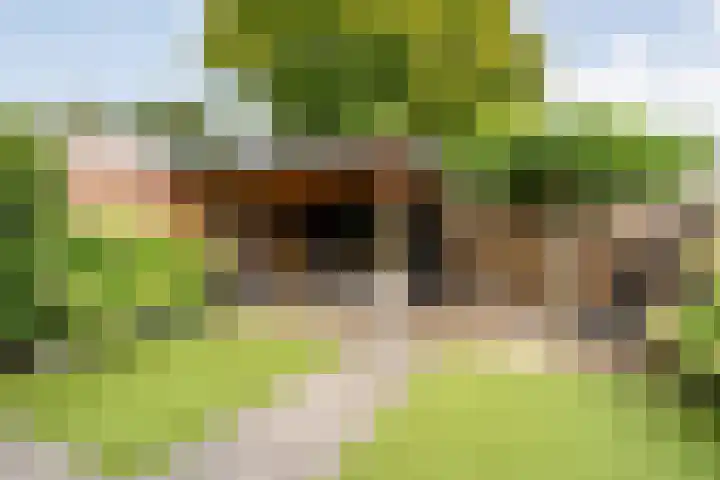 Plaggenslag 34 Nieuwleusen thumbnail 36