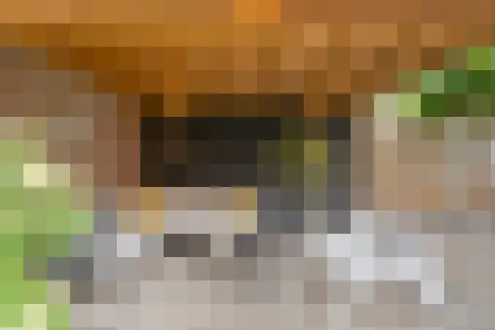 Plaggenslag 34 Nieuwleusen thumbnail 37