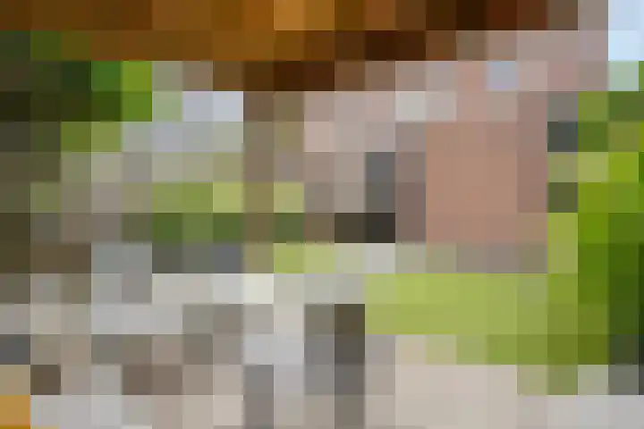 Plaggenslag 34 Nieuwleusen thumbnail 38