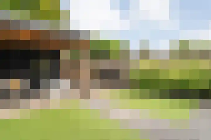 Plaggenslag 34 Nieuwleusen thumbnail 39