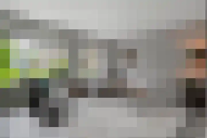 Plaggenslag 34 Nieuwleusen thumbnail 4