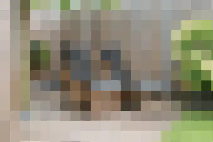 Plaggenslag 34 Nieuwleusen thumbnail 40