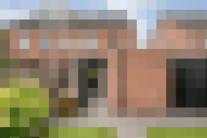 Plaggenslag 34 Nieuwleusen thumbnail 41