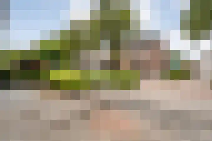Plaggenslag 34 Nieuwleusen thumbnail 42