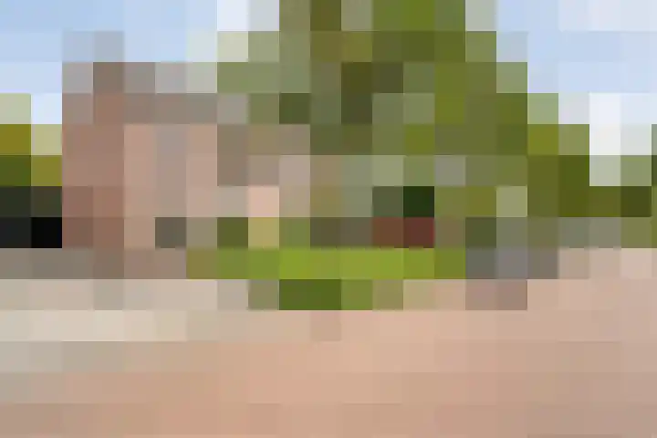 Plaggenslag 34 Nieuwleusen thumbnail 43