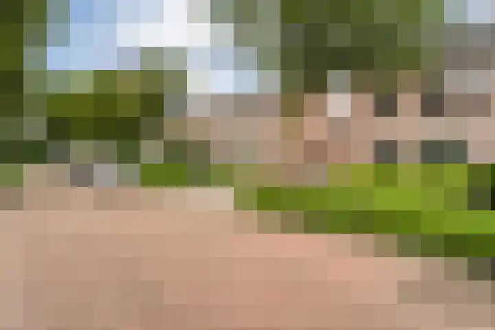 Plaggenslag 34 Nieuwleusen thumbnail 44