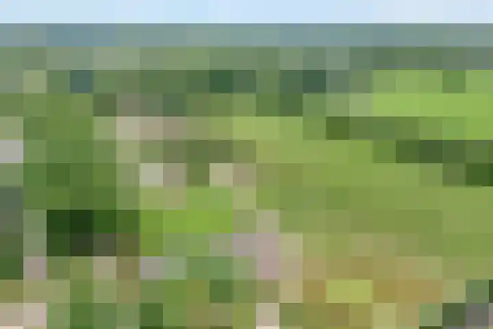 Plaggenslag 34 Nieuwleusen thumbnail 45