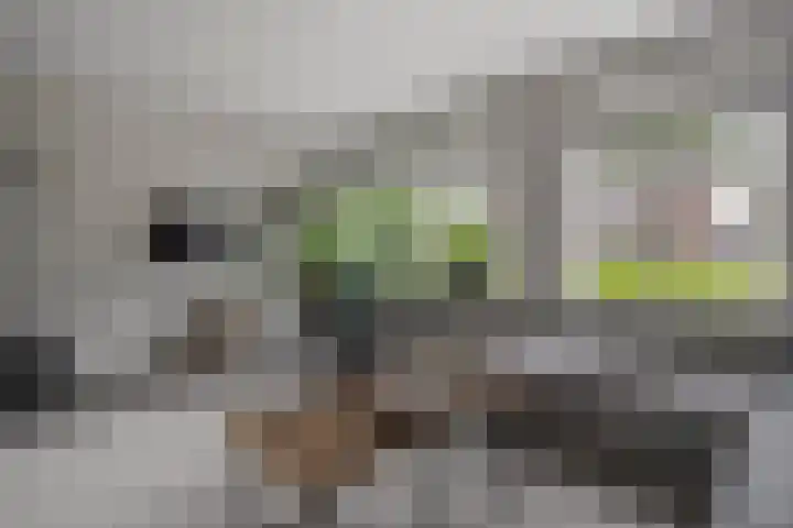 Plaggenslag 34 Nieuwleusen thumbnail 5