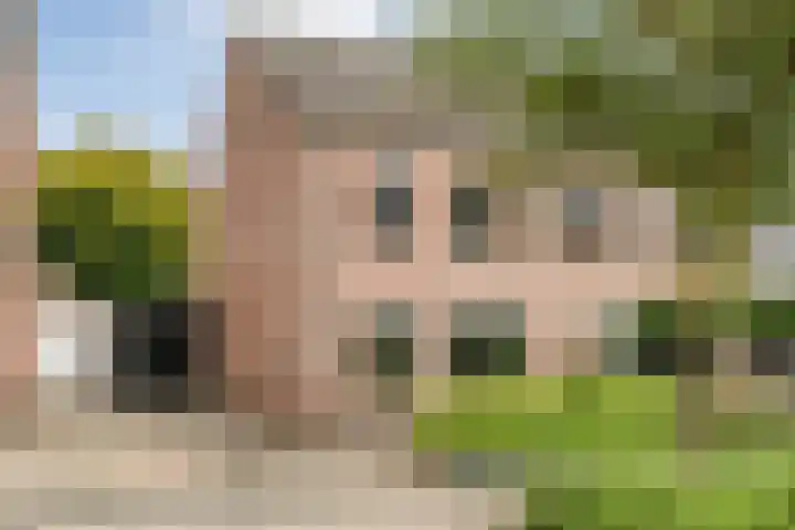 Plaggenslag 34 Nieuwleusen thumbnail 51