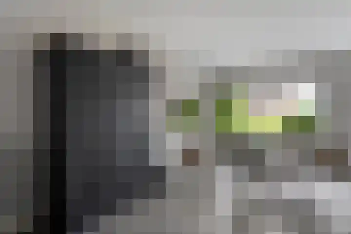 Plaggenslag 34 Nieuwleusen thumbnail 6