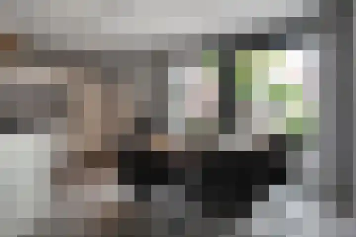 Plaggenslag 34 Nieuwleusen thumbnail 9