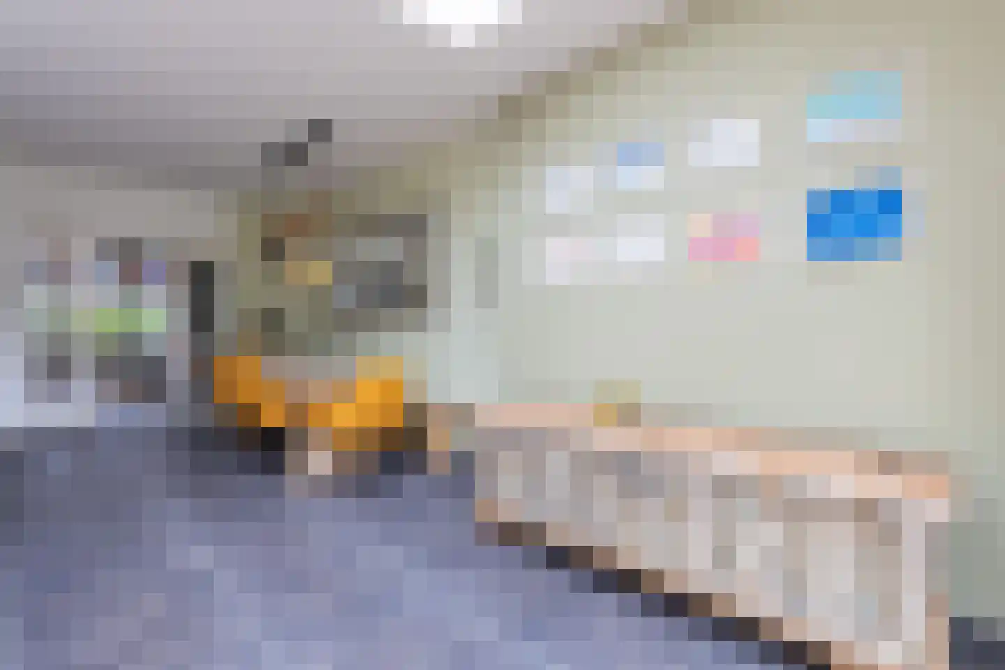 Plaggenweg 15 Bussum thumbnail 13