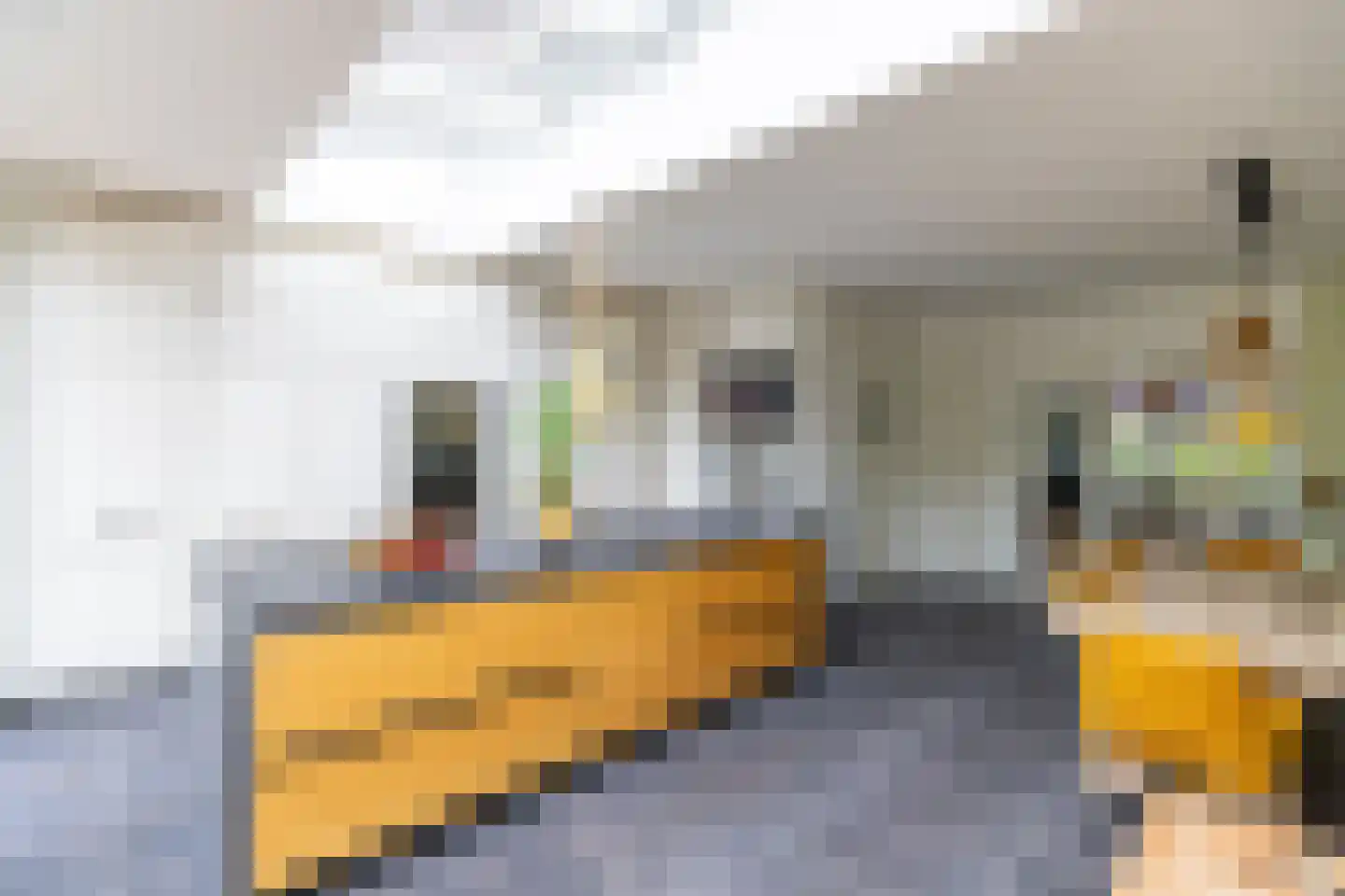 Plaggenweg 15 Bussum thumbnail 14