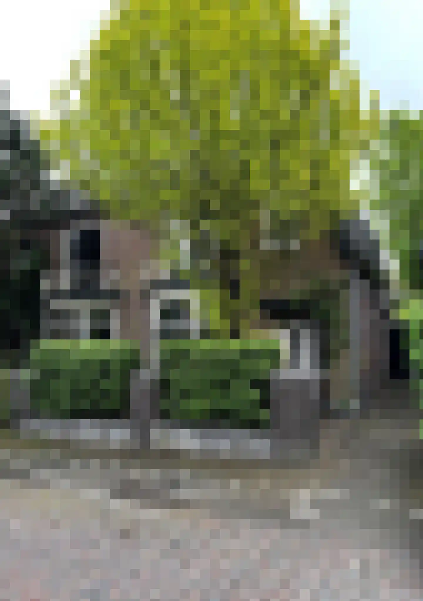 Plaggenweg 15 Bussum foto 2