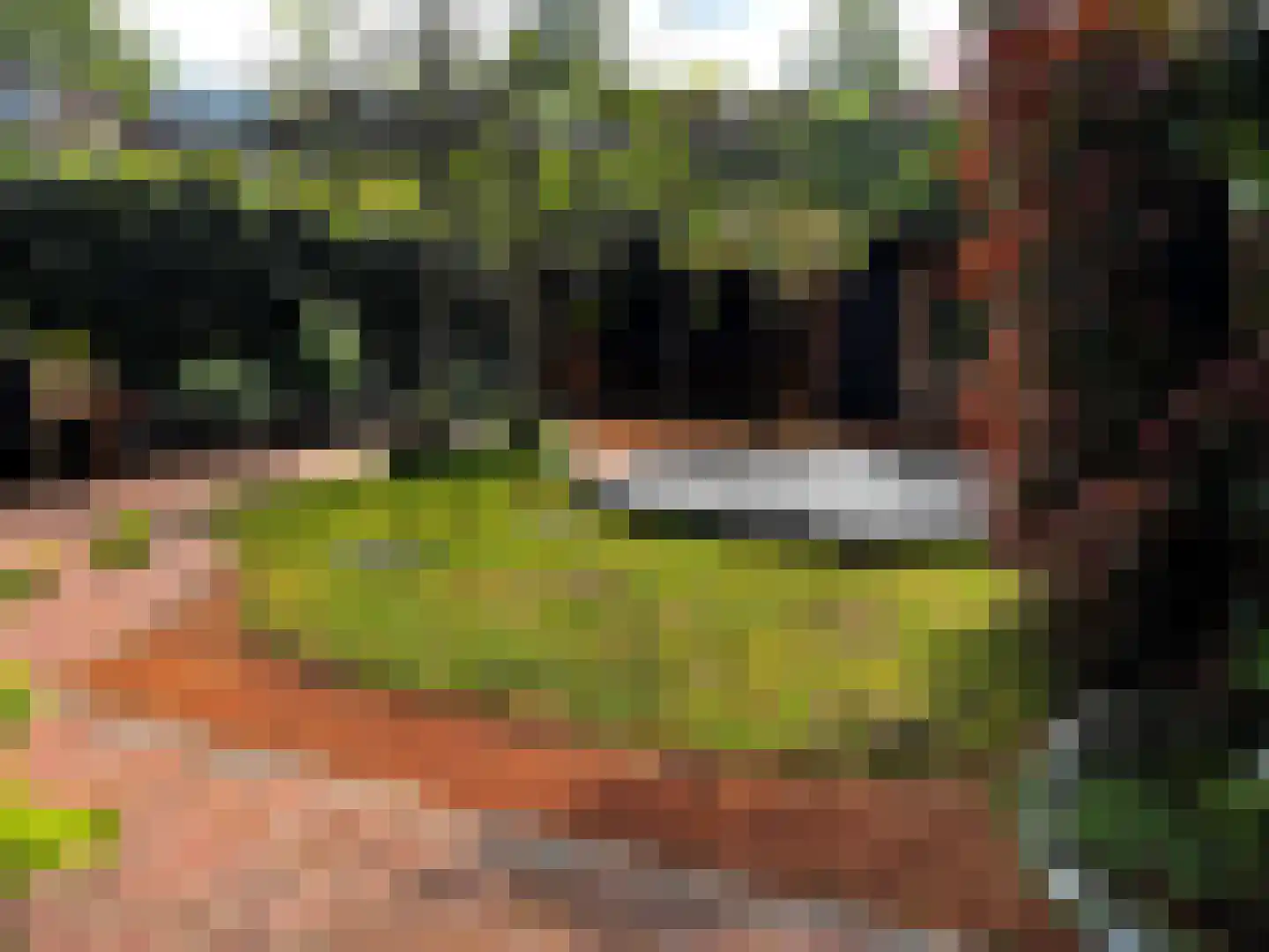 Plaggenweg 15 Bussum thumbnail 31