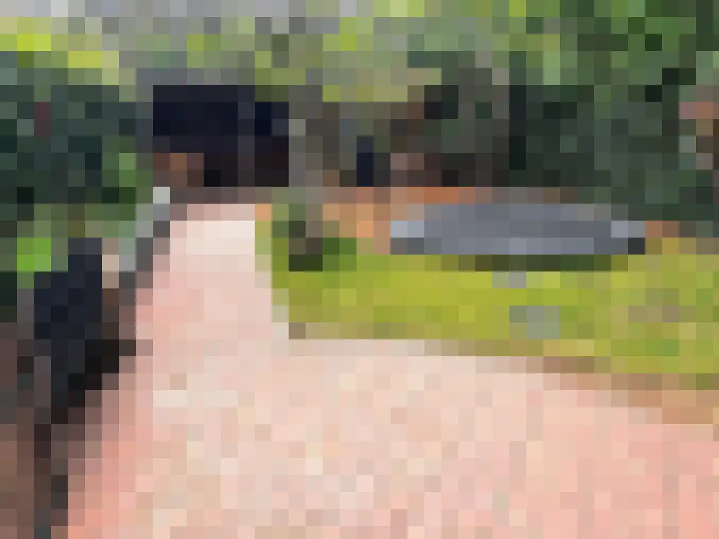 Plaggenweg 15 Bussum thumbnail 32