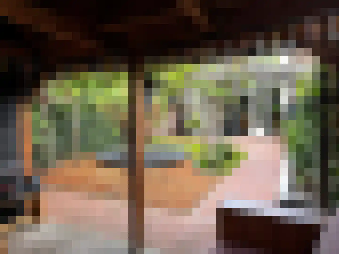 Plaggenweg 15 Bussum thumbnail 35