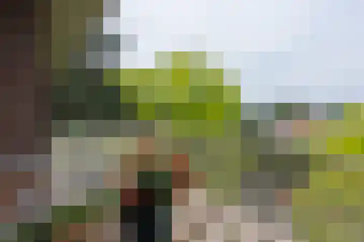 Plaggenweg 373 Bussum thumbnail 25