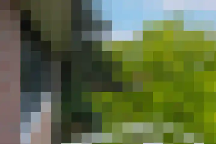 Plaggenweg 373 Bussum thumbnail 26