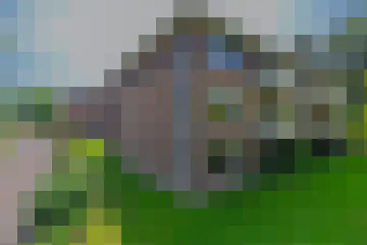 Plaggenweg 373 Bussum thumbnail 41