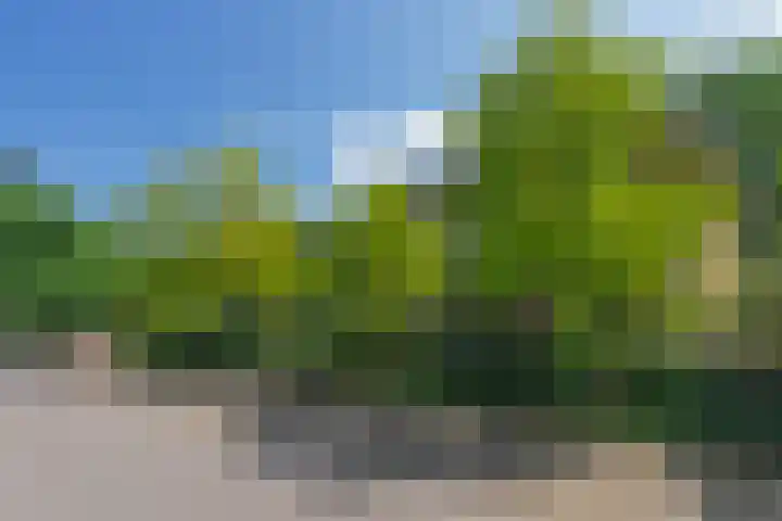 Plaggenweg 373 Bussum thumbnail 42