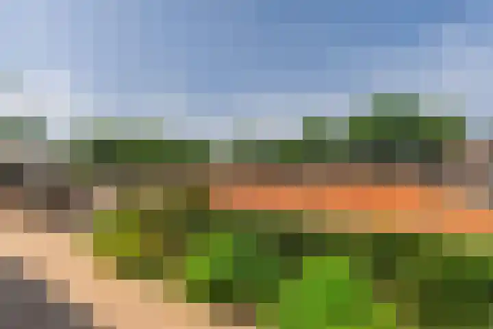 Plaggenweg 373 Bussum thumbnail 43
