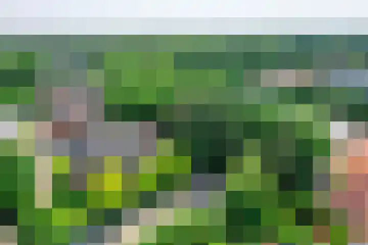 Plaggenweg 373 Bussum thumbnail 46