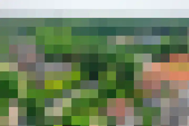 Plaggenweg 373 Bussum thumbnail 47