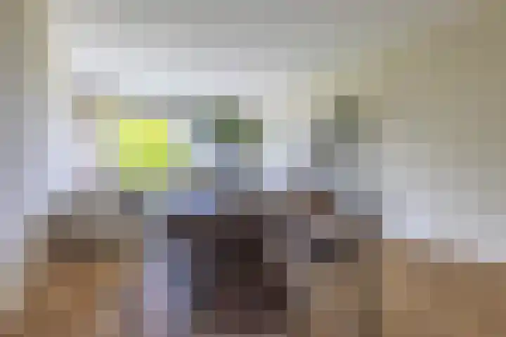 Plaggenweg 373 Bussum thumbnail 9