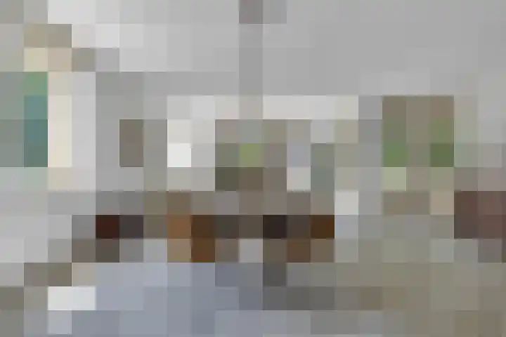 Plaggenweg 381 Bussum thumbnail 16